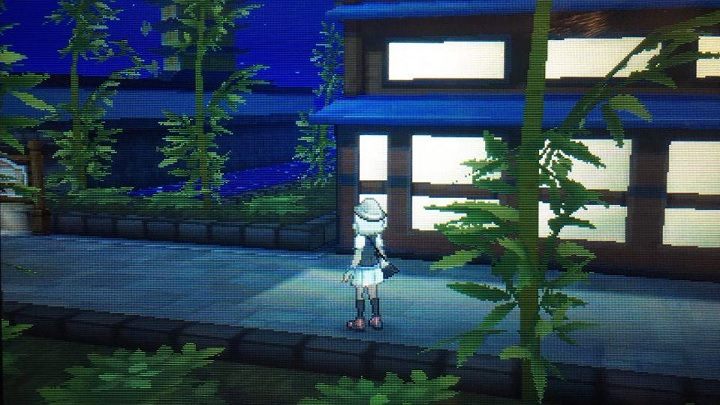 Czas odkryć nową wyspę - Malie City, Malie Garden i Route 10 | Pokemon Sun - Pokemon Sun - poradnik do gry