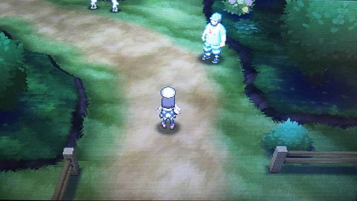 Ciekawe co złapiemy na Route 5 - Route 5, Brooklet Hill, Route 6 i Battle Royal Dome | Pokemon Sun - Pokemon Sun - poradnik do gry