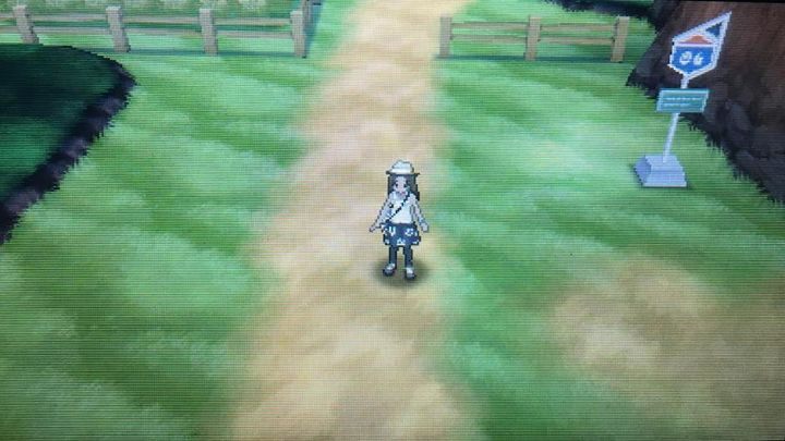 Ciekawe co złapiemy tym razem - Route 5, Brooklet Hill, Route 6 i Battle Royal Dome | Pokemon Sun - Pokemon Sun - poradnik do gry