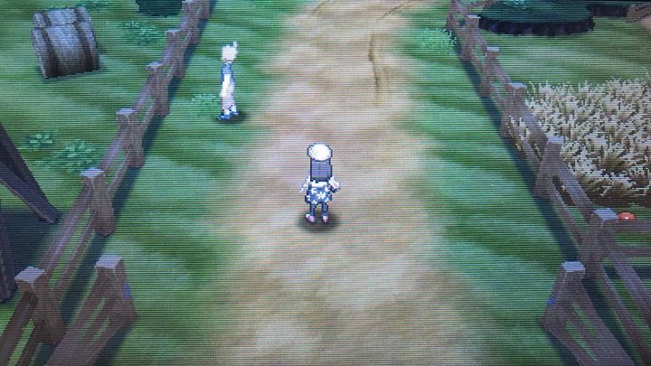 Klimaty normalnie jak na dzikim zachodzie! - Heahea City, Route 4 i Paniola Ranch | Pokemon Sun - Pokemon Sun - poradnik do gry