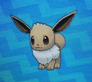 Eevee - Eevee i jej ewolucje w Pokemon Sun - Pokemon Sun - poradnik do gry