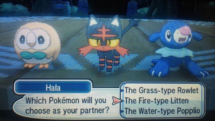 I którego teraz wybrać... - Witaj na Melemele w Pokemon Sun - Pokemon Sun - poradnik do gry