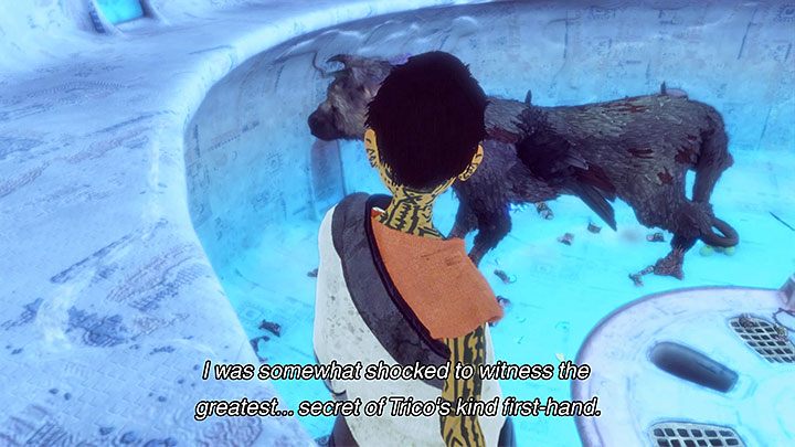 Trico może wypróżnić się np. po walce - Lista trofeów | The Last Guardian - The Last Guardian - poradnik do gry