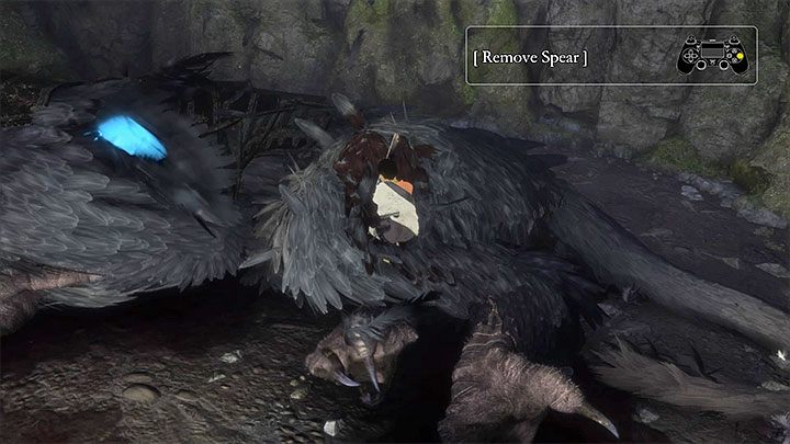 Wyciągnij włócznię z ciała Trico - Oswobodzenie Trico | The Last Guardian - The Last Guardian - poradnik do gry