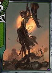 Aelirenn - ScoiaTael | Gotowe talie - Gwint - poradnik do gry