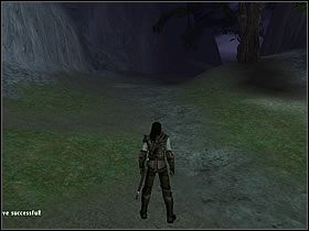 3 - Część 2a | Anduin - Władca Pierścieni: Drużyna Pierścienia - poradnik do gry