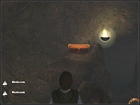 Teraz możesz rozprawić się z przykościstym panem - Część 5 | The Old Forest - Władca Pierścieni: Drużyna Pierścienia - poradnik do gry