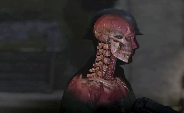 Ilość animacji przy zabójstwie można ustalić w opcjach gry, dlatego nie zawsze będą widoczne przy niskich ustawieniach - Łowca organów | Trofea w Sniper Elite 4 - Sniper Elite 4 - poradnik do gry