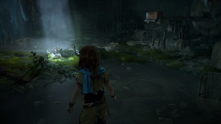 Ostatecznie natkniesz się na zwłoki człowieka - Horizon Zero Dawn: Podarunek z przeszłości (A Gift from the Past) solucja - Horizon Zero Dawn - poradnik, solucja