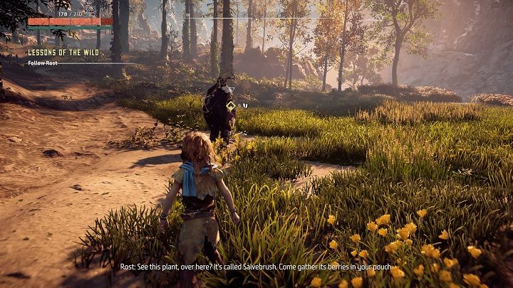Zadanie rozpocznie się w miejscu widocznym na powyższym obrazku - Horizon Zero Dawn: Szkoła przetrwania (Lessons of the Wild) solucja - Horizon Zero Dawn - poradnik, solucja