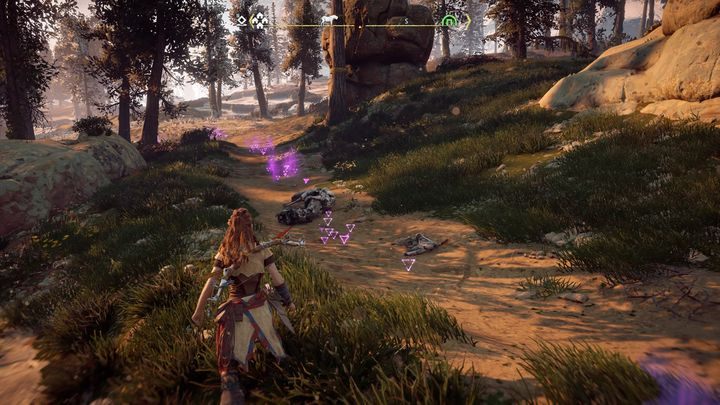 Namierz trop i skorzystaj z opcji podświetlenia go, żeby był widoczny po wyłączeniu Fokusa - Horizon Zero Dawn: W ślady swojej matki (In Her Mothers Footsteps) | Solucja - Horizon Zero Dawn - poradnik, solucja