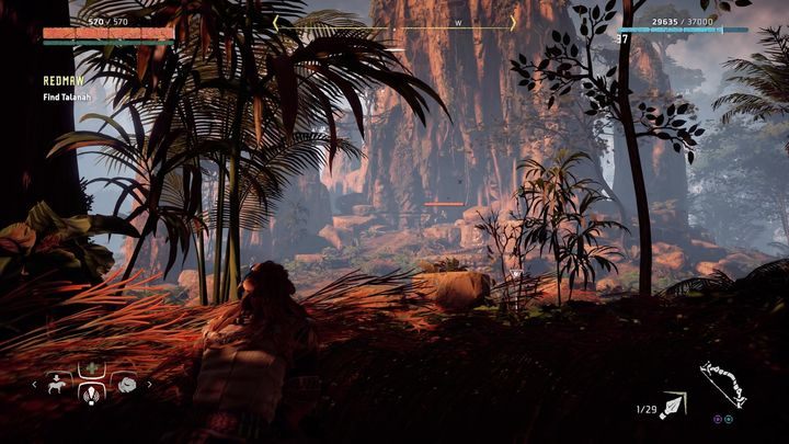 Na miejscu szybko zorientujesz się, że Tanalah wpadła w zasadzkę - Horizon Zero Dawn: Czarnogon (Redmaw) | Południk, solucja - Horizon Zero Dawn - poradnik, solucja