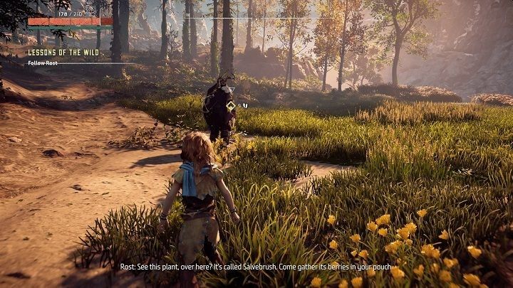 Opis: Nauczono się polować i walczyć u boku Rosta - Horizon Zero Dawn: Trofea - lista, porady - Horizon Zero Dawn - poradnik, solucja