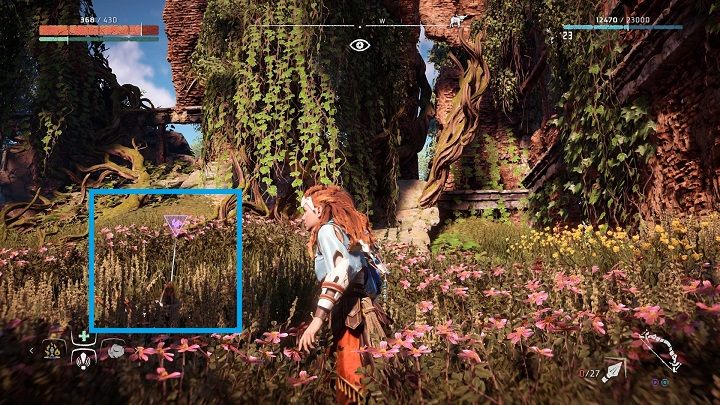Kwiat znajdziesz w bezpośrednim sąsiedztwie ruin - Horizon Zero Dawn: Metalowe Kwiaty - lista, mapa | Kolekcje i znajdźki - Horizon Zero Dawn - poradnik, solucja