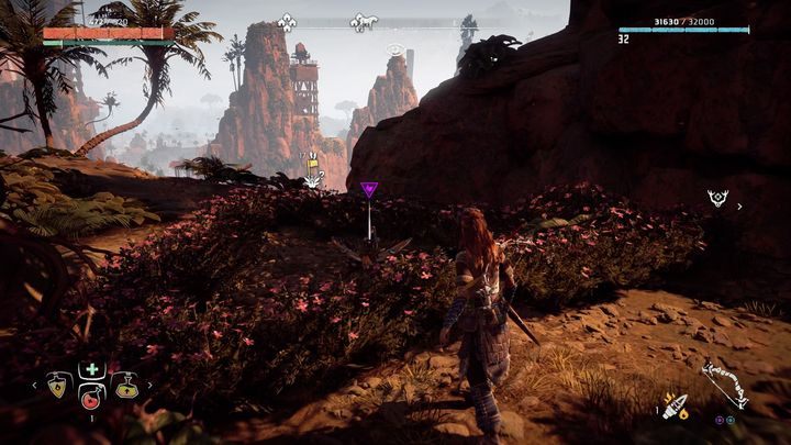 Kwiat znajdziesz na wysokiej skale - Horizon Zero Dawn: Metalowe Kwiaty - lista, mapa | Kolekcje i znajdźki - Horizon Zero Dawn - poradnik, solucja