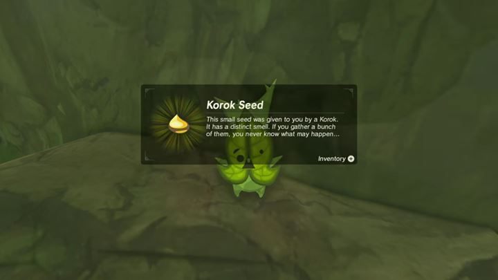 Za Korok Seed możesz zwiększać miejsce na swój rynsztunek. - Jak zwiększyć miejsce w ekwipunku (Lokalizacja Hestu) w Zelda Breath of the Wild - The Legend of Zelda: Breath of the Wild - poradnik do gry