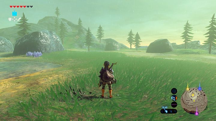 Strzały często są wbite w drzewa - Free the Divine Beasts | Zadania główne w Zelda: Breath of the Wild - The Legend of Zelda: Breath of the Wild - poradnik do gry