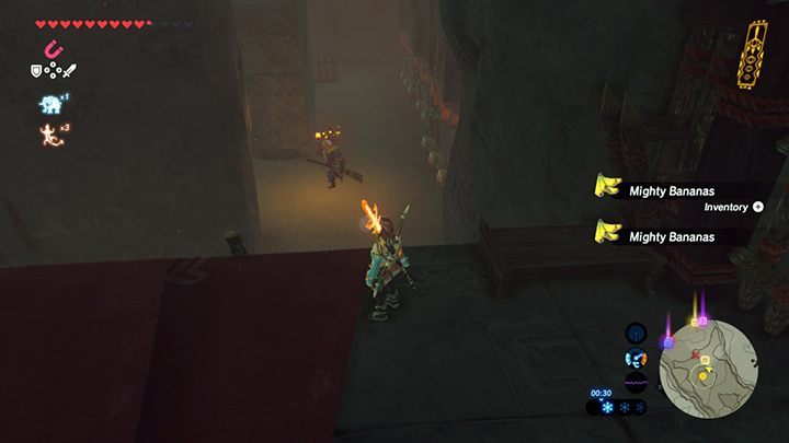 Przeleć obok strażnika - Forbidden City Entry i Vah Naboris | Zadania główne w Zelda: Breath of the Wild - The Legend of Zelda: Breath of the Wild - poradnik do gry