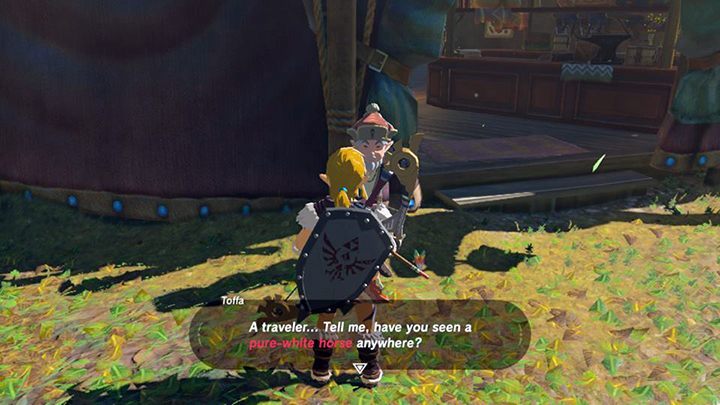 Porozmawiaj z Toffa - Central Tower Region zadania poboczne w Zelda: Breath of the Wild - The Legend of Zelda: Breath of the Wild - poradnik do gry