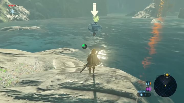 Octoroks to podobne do ośmiornic, dość irytujące stworki, które atak opierają na pluciu kamieni - Opis typów przeciwników w Zelda: Breath of the Wild - The Legend of Zelda: Breath of the Wild - poradnik do gry
