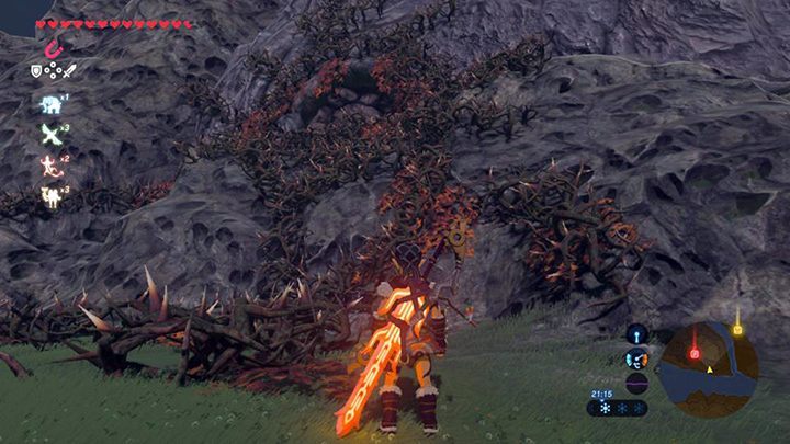 Podpal ciernie, aby dostać się do świątyni - Central Tower świątynie - shrines w Zelda: Breath of the Wild - The Legend of Zelda: Breath of the Wild - poradnik do gry