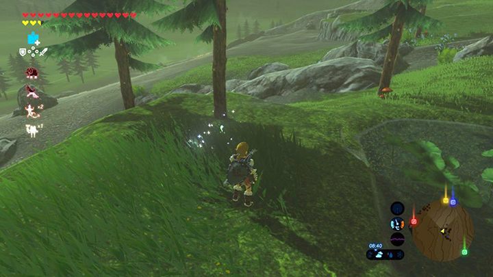 Złap Koroka - Woodland Tower Region Korok Seeds | The Legend of Zelda: Breath of the Wild - The Legend of Zelda: Breath of the Wild - poradnik do gry