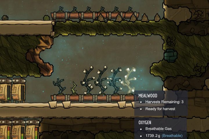 Duża farma to podstawa do przetrwania. - Jak zacząć w Oxygen Not Included? - Oxygen Not Included - poradnik do gry