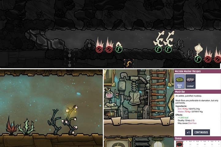 Napotkane rośliny możesz oznaczyć do zbioru, zamiast wykopać je w celu zdobycia nasion (górna część obrazku). Na początek jest to często najlepszy pomysł. Czasem możesz natrafić rośliny, które już rosną w idealnych warunkach (mała poświata wokół rośliny). Jeśli naprawdę brakuje ci żywności, zacznij wytwarzać Mush Bar z ziemi i wody. - Rolnictwo | Początek rozgrywki w Oxygen Not Included - Oxygen Not Included - poradnik do gry