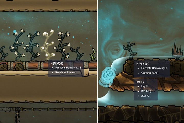 Mealwood - Rośliny jadalne w Oxygen Not Included - Oxygen Not Included - poradnik do gry