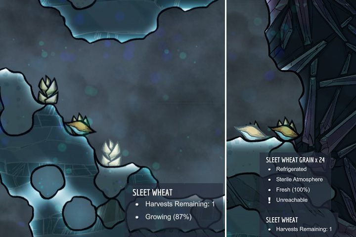 Sleet Wheat - Rośliny jadalne w Oxygen Not Included - Oxygen Not Included - poradnik do gry