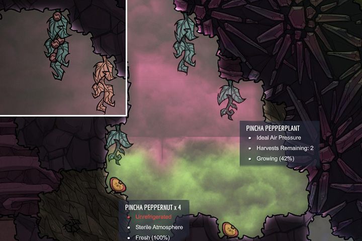 Pincha Pepper - Rośliny jadalne w Oxygen Not Included - Oxygen Not Included - poradnik do gry