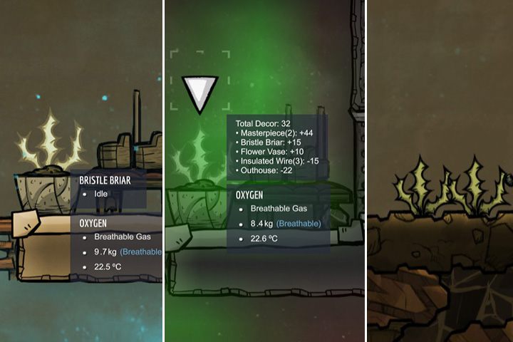 Bristle Briar - Rośliny niejadalne w Oxygen Not Included - Oxygen Not Included - poradnik do gry