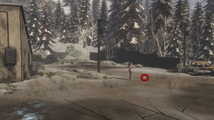 Skoro celnik porzucił miejsce pracy, wybierz się tam na rekonesans - Zdobądź alkohol dla strażnika | Opis przejścia Syberia 3 - Syberia 3 - poradnik do gry