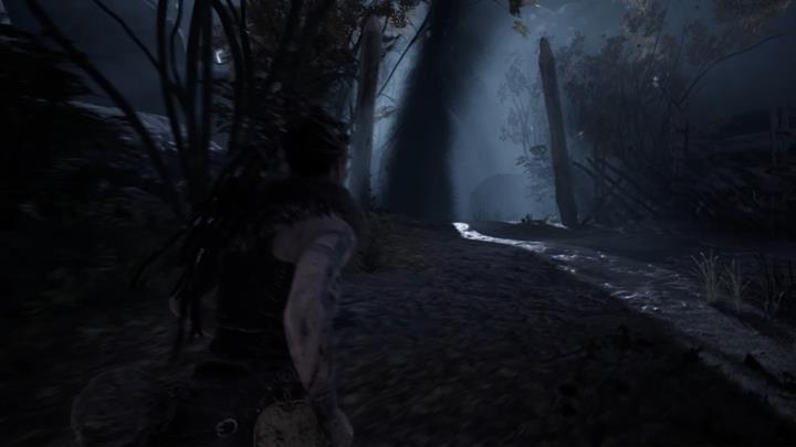 Biegnij do czarnego tornada. - Hellblade Senuas Sacrifice: Przybycie na ląd - Hellblade: Senuas Sacrifice - poradnik do gry