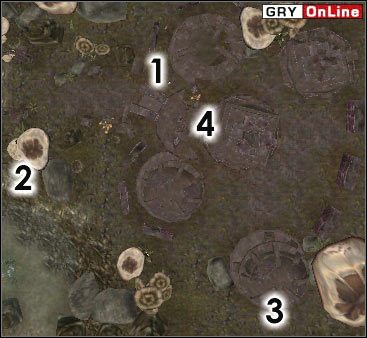 Nie będzie tu żadnych przeciwników oprócz NPC-ów - Ald Daedroth | ŚWIAT - Obóz Ahemmusa | The Elder Scrolls III: Morrowind - The Elder Scrolls III: Morrowind - poradnik do gry