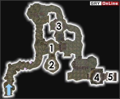 Ta jaskinia zawiera potężne skarby, ale zdobycie ich postacią niedoświadczoną (mniej niż 15 poziom) jest raczej niemożliwe - Pozostałe miejsca | ŚWIAT - Obóz Urshilaku | The Elder Scrolls III: Morrowind - The Elder Scrolls III: Morrowind - poradnik do gry