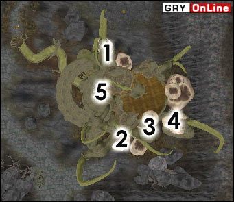 Ta lokacja pokaże się w dwóch przypadkach: dla jednego z ostatnich zadań dla wielkich rodów i wtedy, gdy dostaniesz własną wieżę wykonując zadania dla Wielkiego Rodu Telvanni - Tel Uvirith | ŚWIAT - Tel Uvirith | TES III Morrowind - The Elder Scrolls III: Morrowind - poradnik do gry