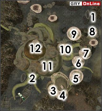 Po tym grzybowym mieście chodzi dwóch Telvańskich Strażników, Emelin i Nina - Tel Mora | ŚWIAT - Vos | TES III Morrowind - The Elder Scrolls III: Morrowind - poradnik do gry