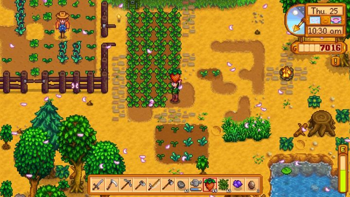 Truskawki owocują kilka razy i są bardzo opłacalne na wiosnę. - 20 porad na początek do Stardew Valley | Szybki start - Stardew Valley - poradnik do gry