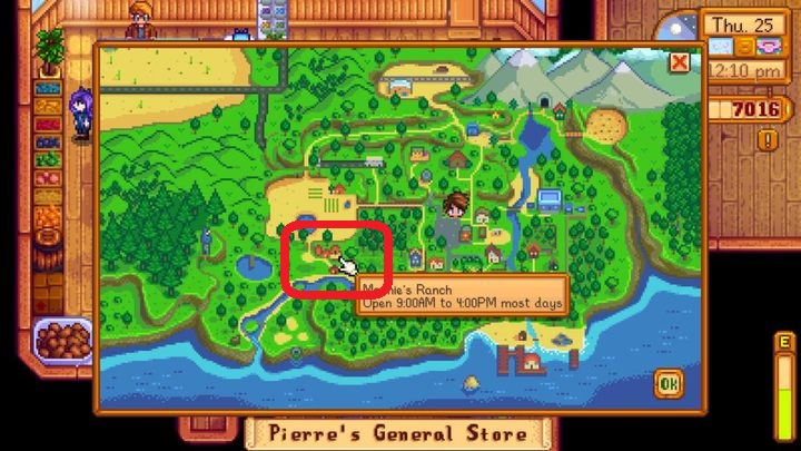 Zadanie rozpocznie się po cut-scence - Tajemnice, zagadki i zadania w Stardew Valley | Szybki start - Stardew Valley - poradnik do gry