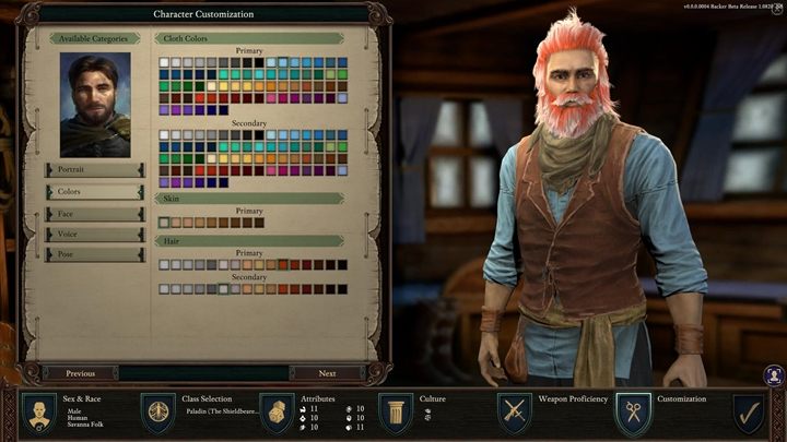 Finalnie, gra poprosi cię o wpisanie imienia dla twojej postaci - Pillars of Eternity 2: Tworzenie postaci - płeć, rasa, klasa, atrybuty, zawód - Pillars of Eternity 2 Deadfire - poradnik do gry