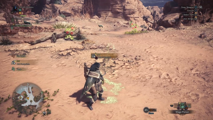 Musisz tropić ślady bestii. - Tropienie potworów w Monster Hunter World - Monster Hunter World - poradnik do gry