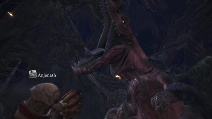 Charakterystyka: Anjanath krąży po Starodrzewie, szukając ulubionego posiłku - Aptonotha - Anjanath - taktyka, odporność, słabe strony | Monster Hunter World - Monster Hunter World - poradnik do gry