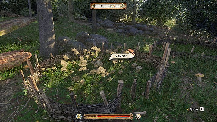 To nie wszystko, bo od zielarki otrzymasz zadanie pozyskania ziół - 120 mięt (Mint), 60 walerian (Valerian) i 12 piołunów (Wormwood) - Oblężenie | Zadania główne w Kingdom Come - Kingdom Come Deliverance - poradnik do gry