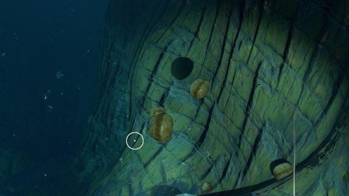 Lewitujące złoża surowców - jeden z częściej występujących błędów. - Subnautica Below Zero: Wymagania sprzętowe PC - Subnautica - poradnik do gry