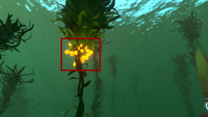 Kiedy je zbierzesz wróć do kapsuły i użyj fabrykatora (Fabricator), by skonstruować gumę silikonową - Subnautica: Guma silikonowa - jak stworzyć? - Subnautica - poradnik do gry