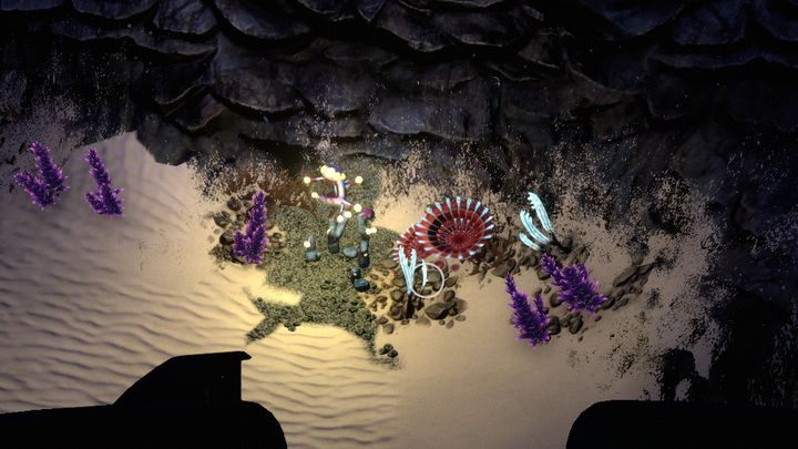 Rośliny porastające jaskinie należące do strefy. - Subnautica: Piaskowa Rafa | Strefy, Biomy - Subnautica - poradnik do gry