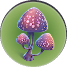 Różowy kapelusznik (Pink Cap) - Subnautica: Rośliny - lista surowców - Subnautica - poradnik do gry