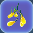 Zlepek nasion wodorostów (Creepvine Seed Cluster) - Subnautica: Rośliny - lista surowców - Subnautica - poradnik do gry