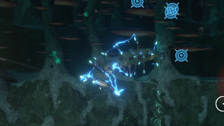 Węgorz Amperowski znajdujący się na granicy Lasu Grzybów i Strefy Drzew Bulbowych. - Subnautica: Las Grzybów | Strefy, Biomy - Subnautica - poradnik do gry